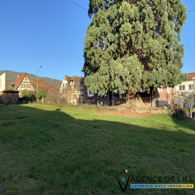 Offres de vente Terrain Dambach-la-Ville (67650)