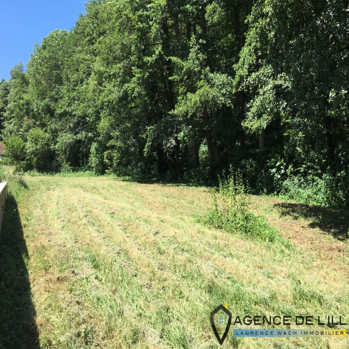 Offres de vente Terrain Dambach-la-Ville (67650)