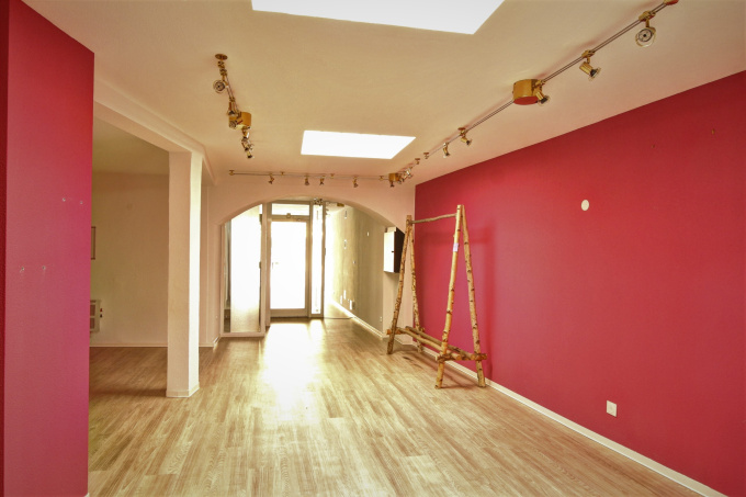 Location Immobilier Professionnel Local commercial Sélestat (67600)